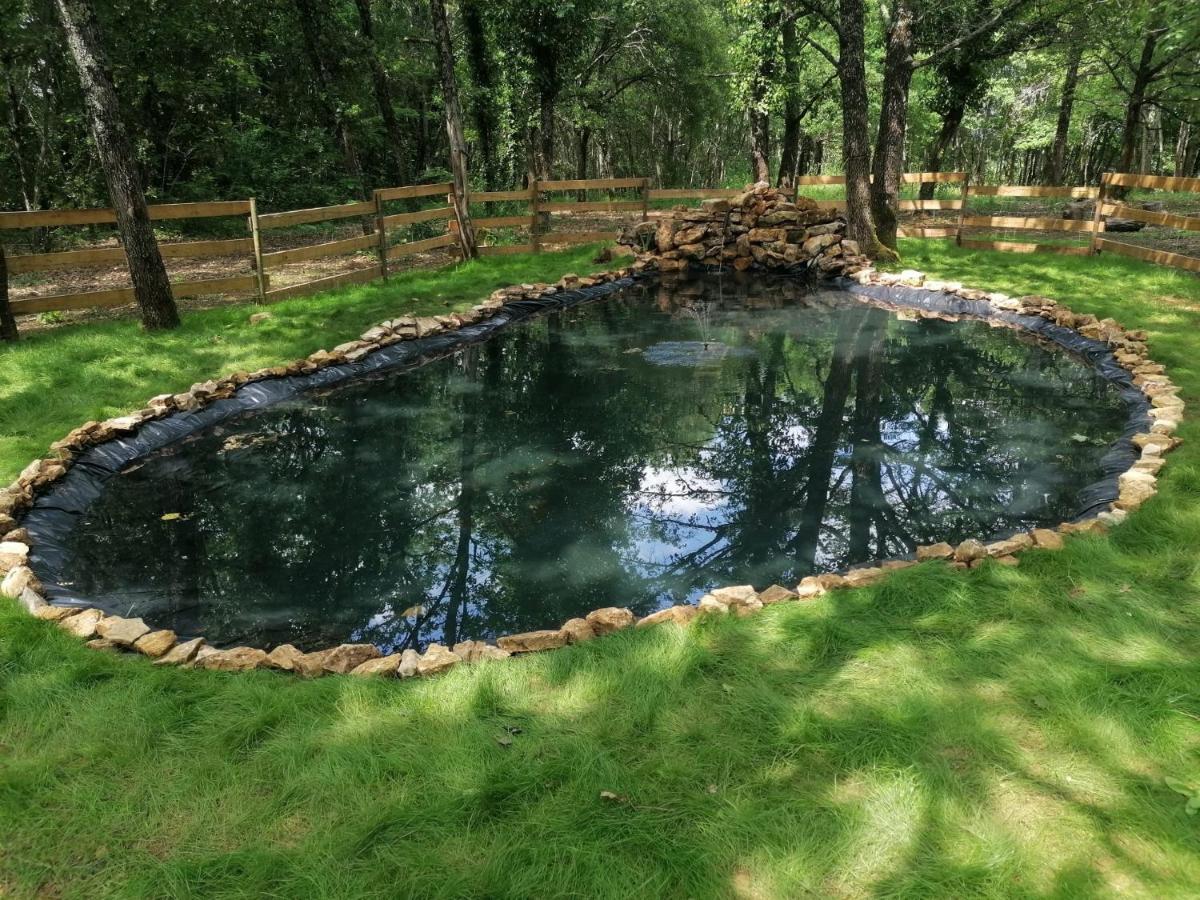 7-Gite-7 Personnes Au Coeur De La Nature /Piscine Saint-Aubin-de-Nabirat エクステリア 写真